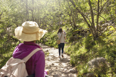 Rear view of woman standing in forest