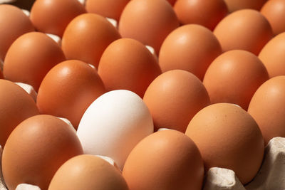 Full frame shot of eggs