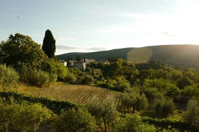 San gimignano