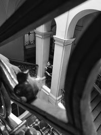 Cat looking through window of building