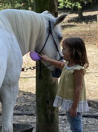 High angle view of woman with horse