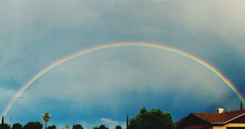 Low angle view of rainbow over trees