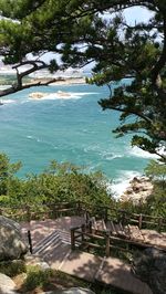 High angle view of trees by sea against sky