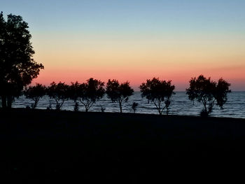 Silhouette trees on beach against sky during sunset