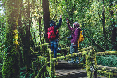 Rear view of people in forest