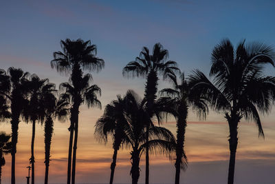 Silhouette palm trees against sky during sunset