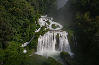 Scenic view of waterfall in forest