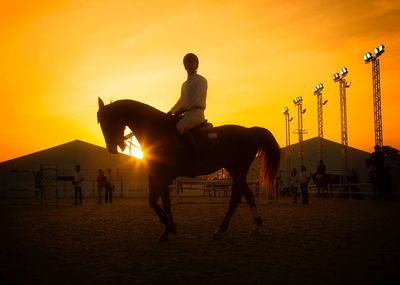 Jockey on horse against sky during sunset