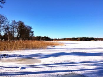 Scenic view of snow covered landscape