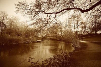 Reflection of trees in lake against sky during sunset