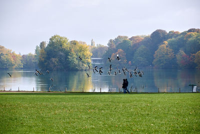 People in park by lake against sky