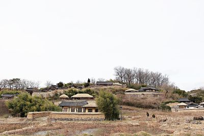 Trees and houses on field against clear sky