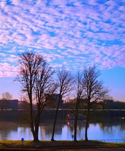 Bare trees in lake against sky