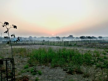 Scenic view of landscape at sunset