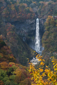 Scenic view of waterfall in forest