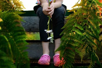 Low section of girl standing by flower tree