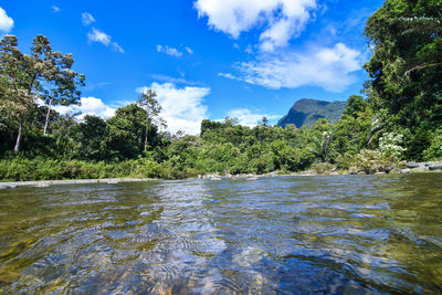 Scenic view of river against sky