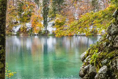 Scenic view of lake in forest during autumn