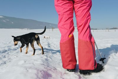 View of dog on snow covered landscape