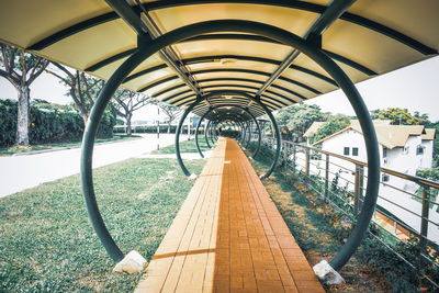 Empty footbridge along trees