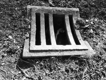 sewer