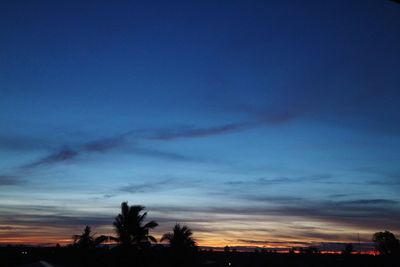 Silhouette trees against sky during sunset