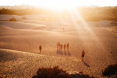 Sun shining through trees on landscape