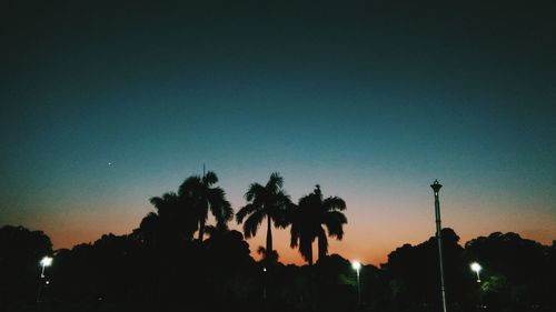 High section of silhouette trees against clear sky