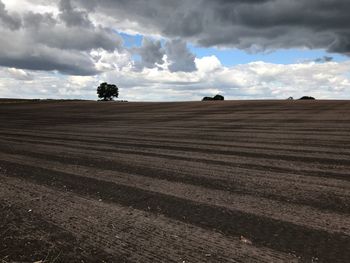 Scenic view of field against sky