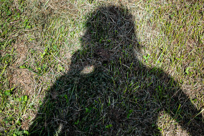 High angle view of shadow on grassy field