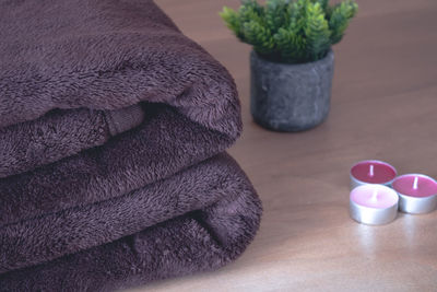 High angle view of pink resting on table at home