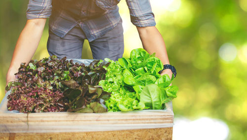 Midsection of woman holding vegetables