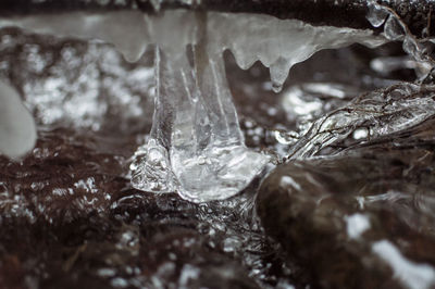 Close-up of ice crystals on rock