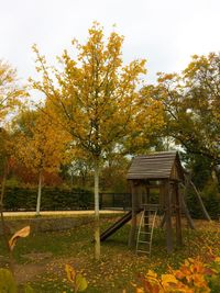 Trees against sky during autumn