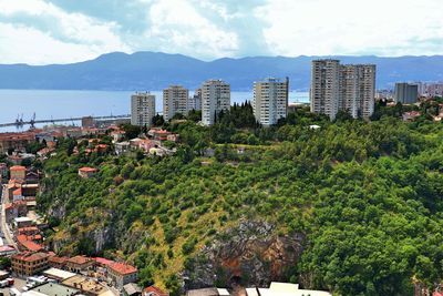 High angle view of trees and buildings in city