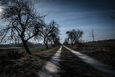 Empty road amidst trees against sky