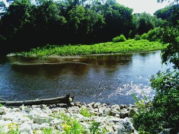 View of river with trees in background