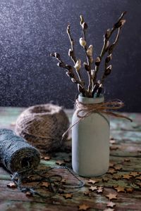 Close-up of plant in vase