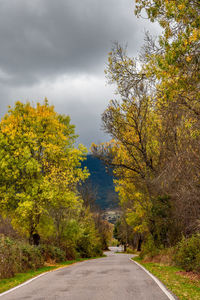 Road amidst trees during autumn