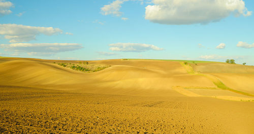 Scenic view of desert against sky