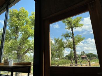 Low angle view of trees seen through glass window