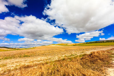 Scenic view of field against sky