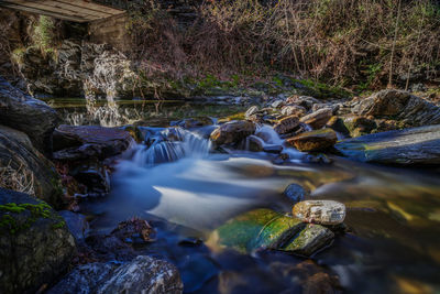 Scenic view of waterfall in forest