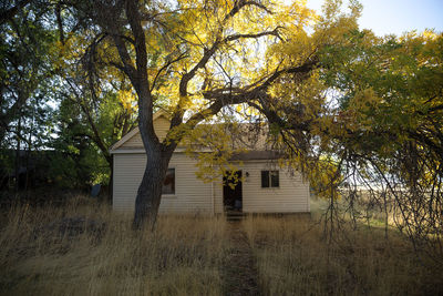 Built structure against trees and house