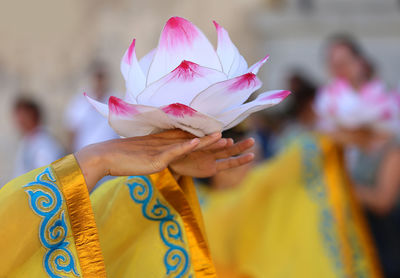 Close-up of woman holding pink flowering plant