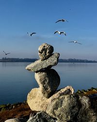 Low angle view of seagulls flying over rocks