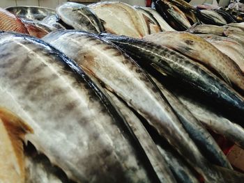 Close-up of fish for sale at market