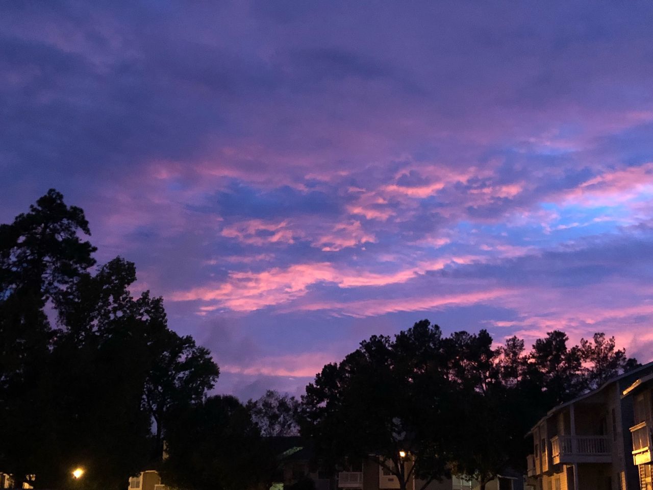 LOW ANGLE VIEW OF TREES AGAINST SKY AT SUNSET