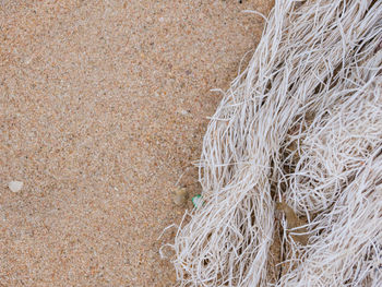 High angle view of rope on field