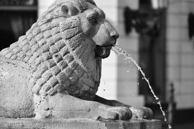 Close-up of statue of fountain